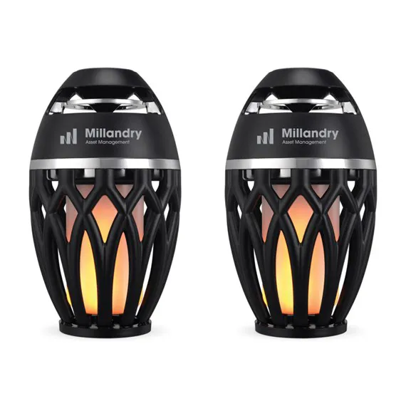 Outdoor speaker kits or camping gearpersonalized with your log