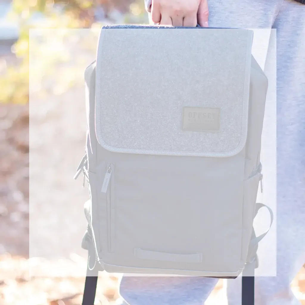 Person holding small bag