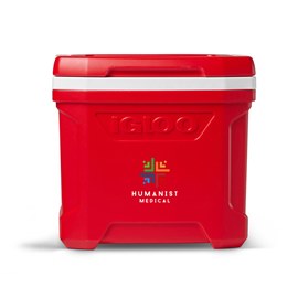 Igloo Profile II 16 Qt Cooler